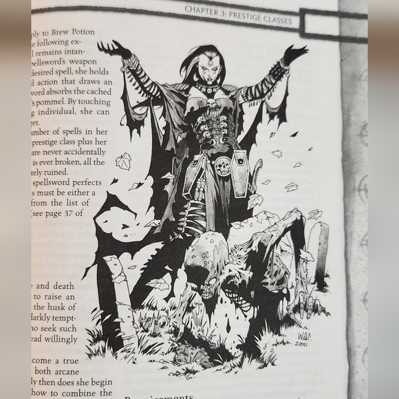 Dungeons & Dragons Tome and Blood Guidebook Pre-owned Very Good - Picture 13 of 13